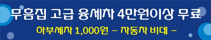Ἴ1